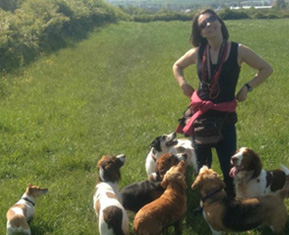 Dog walking services